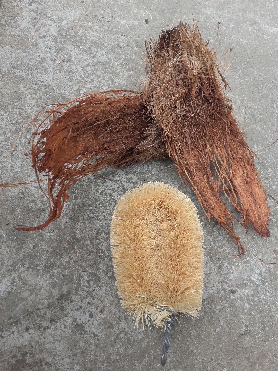 Coconut Fiber Brush/natural Coconut Coir Fiber Handmade Etsy