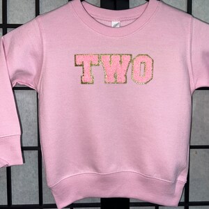 May include: Pink sweatshirt with gold glitter lettering that says "TWO".