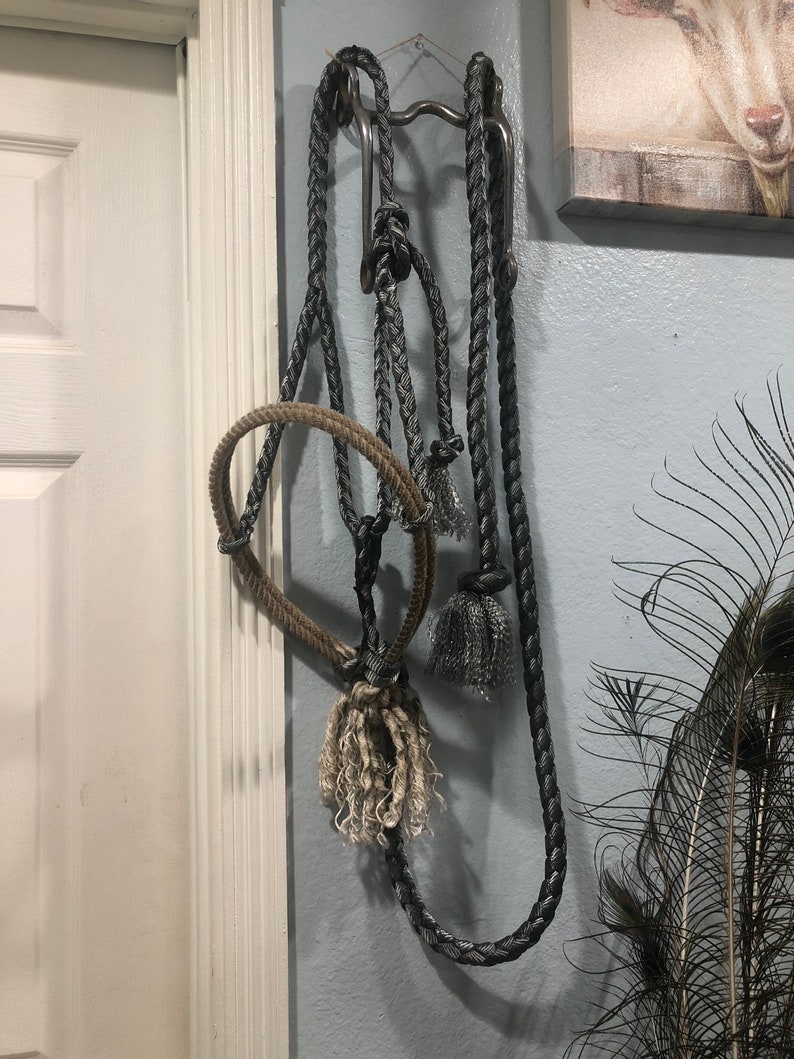 The Howdy Lariat Halter Set - Etsy