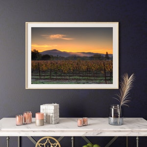 Napa Valley California Color Print, Napa Valley Wall Art Decor, Napa Valley Print, Napa Valley Printable Poster, Napa Valley California