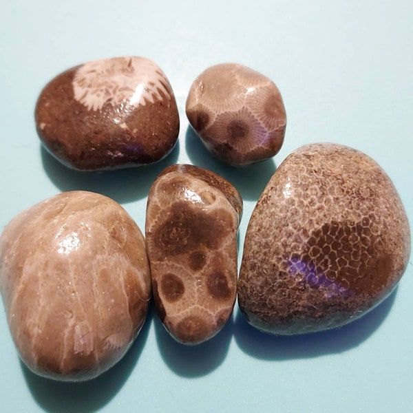 5 stones | Petoskey stone | epoxy resin | unique gift | men | women | kids | boys | girls | Chakra | meditation | epoxy | Lake Michigan