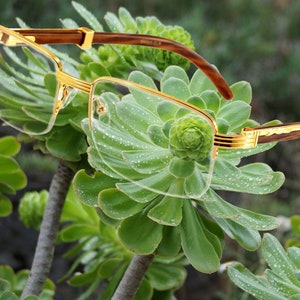Men&#39;s Classic Reading Glasses - Excl. Elite Professor Design Metal Frame, Wood Grain Arm, Shatterproof Lens.