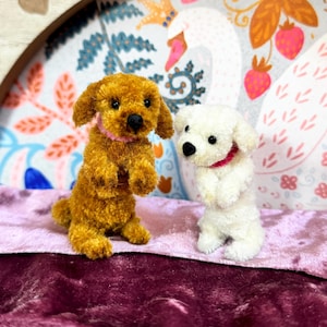 Könnte beinhalten: Zwei kleine, flauschige Spielzeug-Hunde stehen auf einer rosa und burgunderfarbenen Oberfläche. Der Hund links ist braun und der Hund rechts ist weiß. Beide Hunde haben rosa Halsbänder.