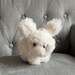 see more listings in the Bunnies section