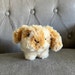 see more listings in the Floof Bunnies section