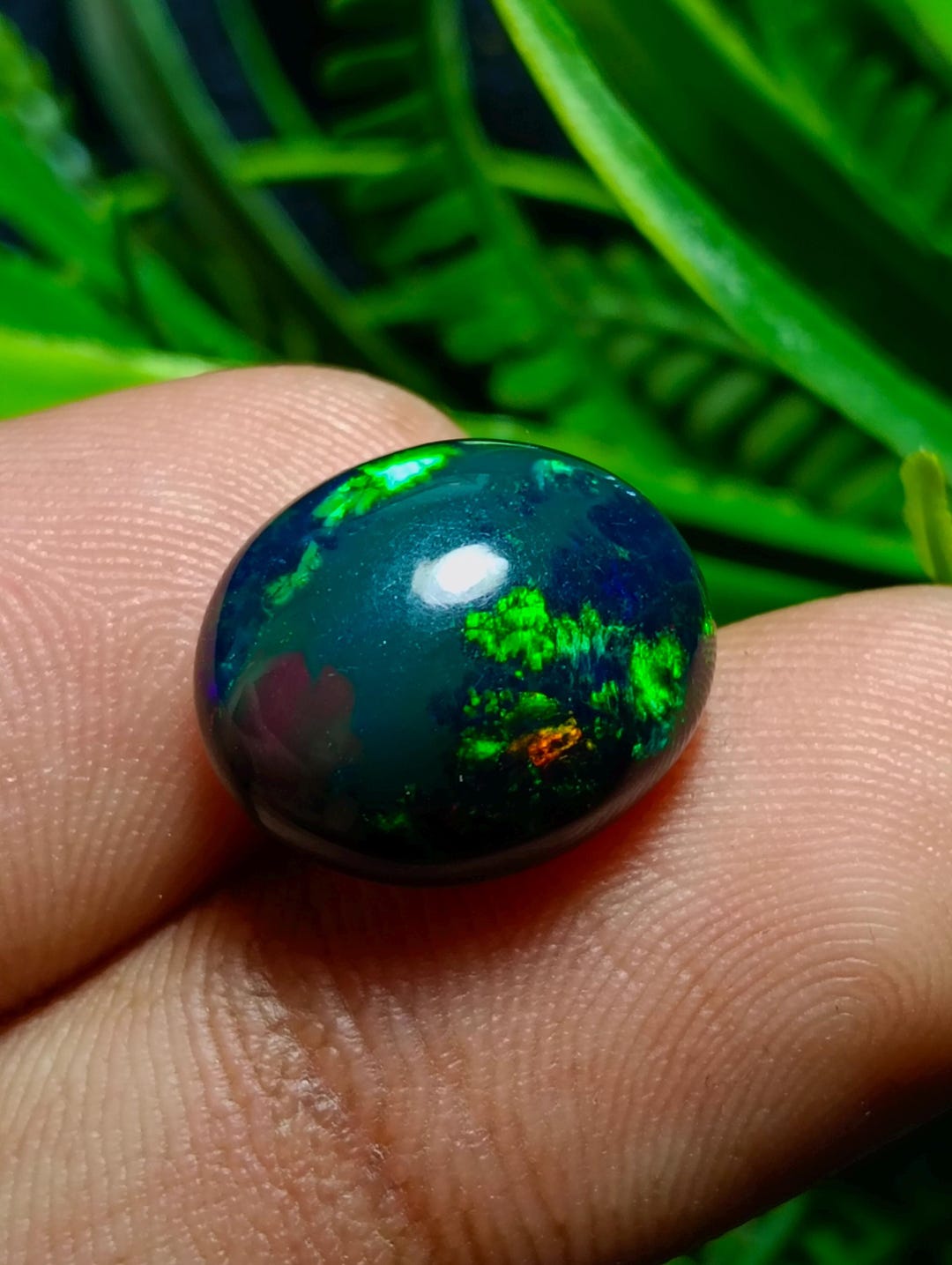 Amazing Green Fire Ethiopian Opal Cabochon Size 15X12X8 Mm. Welo