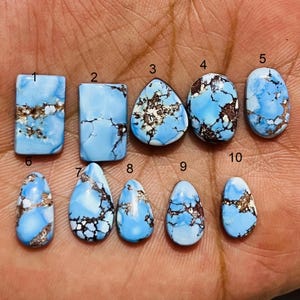 Könnte beinhalten: Eine Sammlung von zehn türkisfarbenen Edelsteinen in verschiedenen Formen und Größen. Die Steine zeigen einen hellblauen Farbton mit braunen und goldenen Matrixmustern. Die Edelsteine sind auf einer Hand angeordnet und zeigen ihre einzigartigen Texturen und Farben.