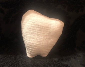 May include: A white, soft, plush tooth-shaped pillow. The pillow is made of a textured fabric and is ideal for a child's room.