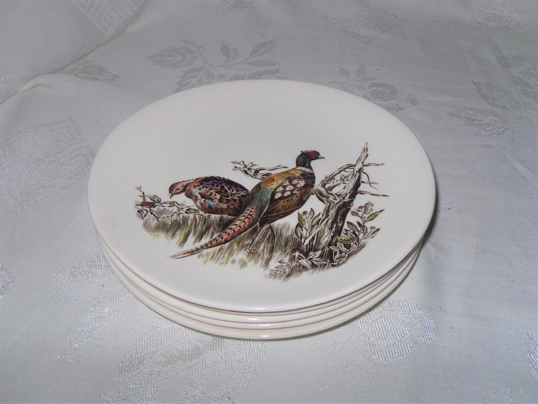 JOHNSON BROTHERS GAME Birds Partridge Oval Small Plates Set of Etsy