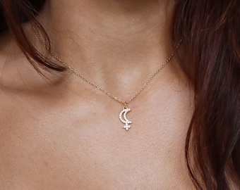 Lilith Symbol Necklace – 18K Gold Astrology Jewelry, Zodiac Charm