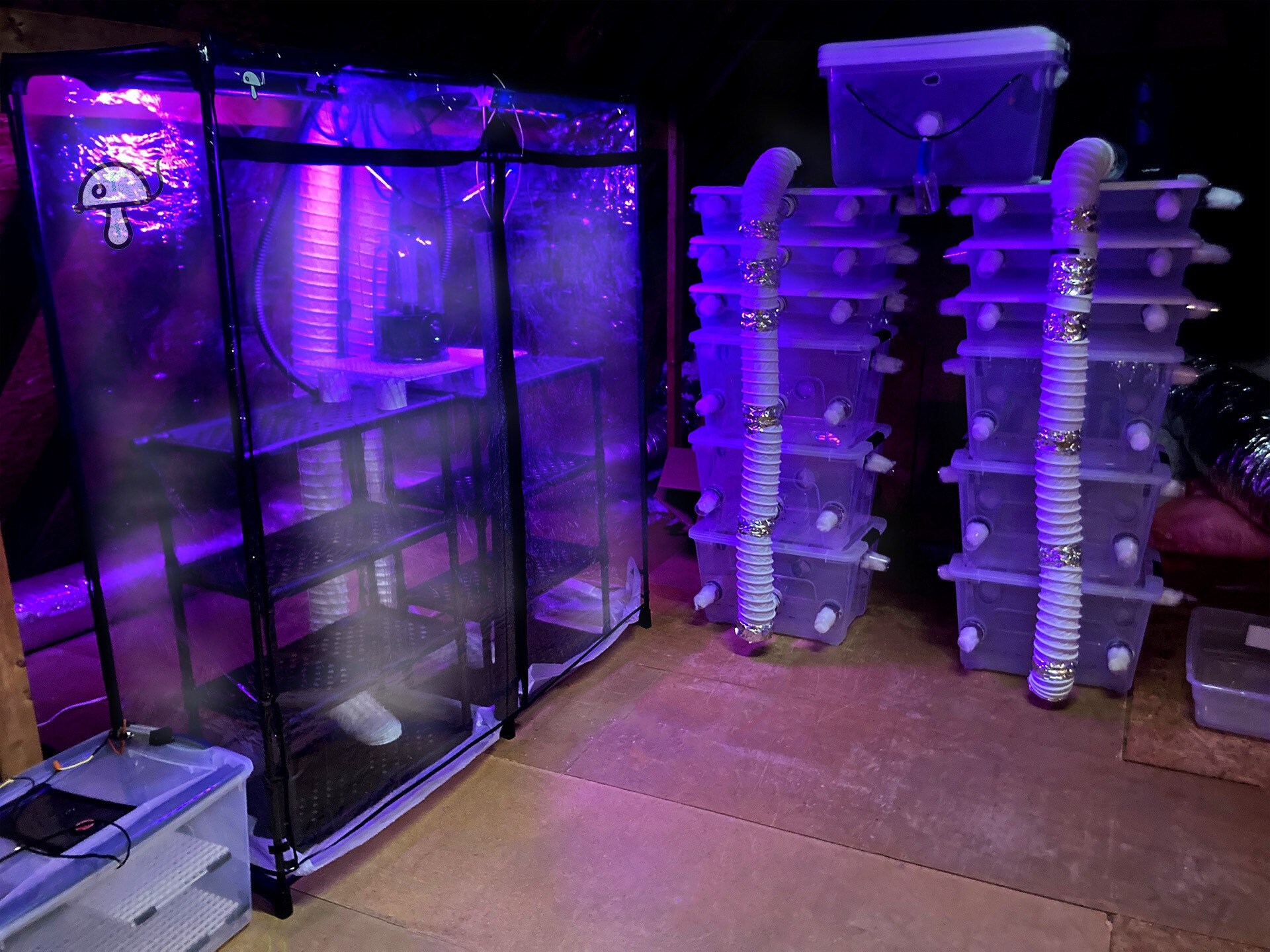 Large Automated Bulk Grow Kit/ MarthaTEKMushroom Cultivator Etsy