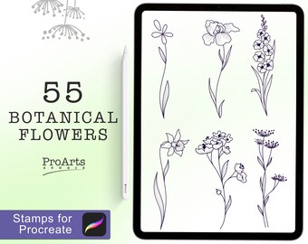 Minimal Botanical Brushes, Botanical Flowers, Brushes, Floral Brush Stamps, Nature Brushes, minimalistic Brushes, Ipad