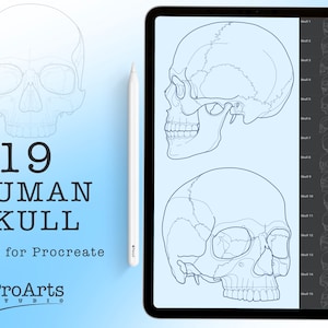 Human Skull Brush Stamp Set For ProCreate! Tattoo linework designs.