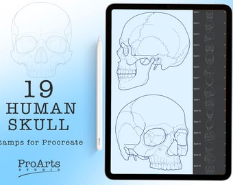 Human Skull Brush Stamp Set For ProCreate! Tattoo linework designs.