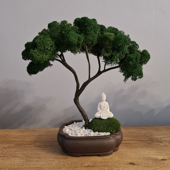 Bonsai, Partita Completa meditando e coltivando un albero in