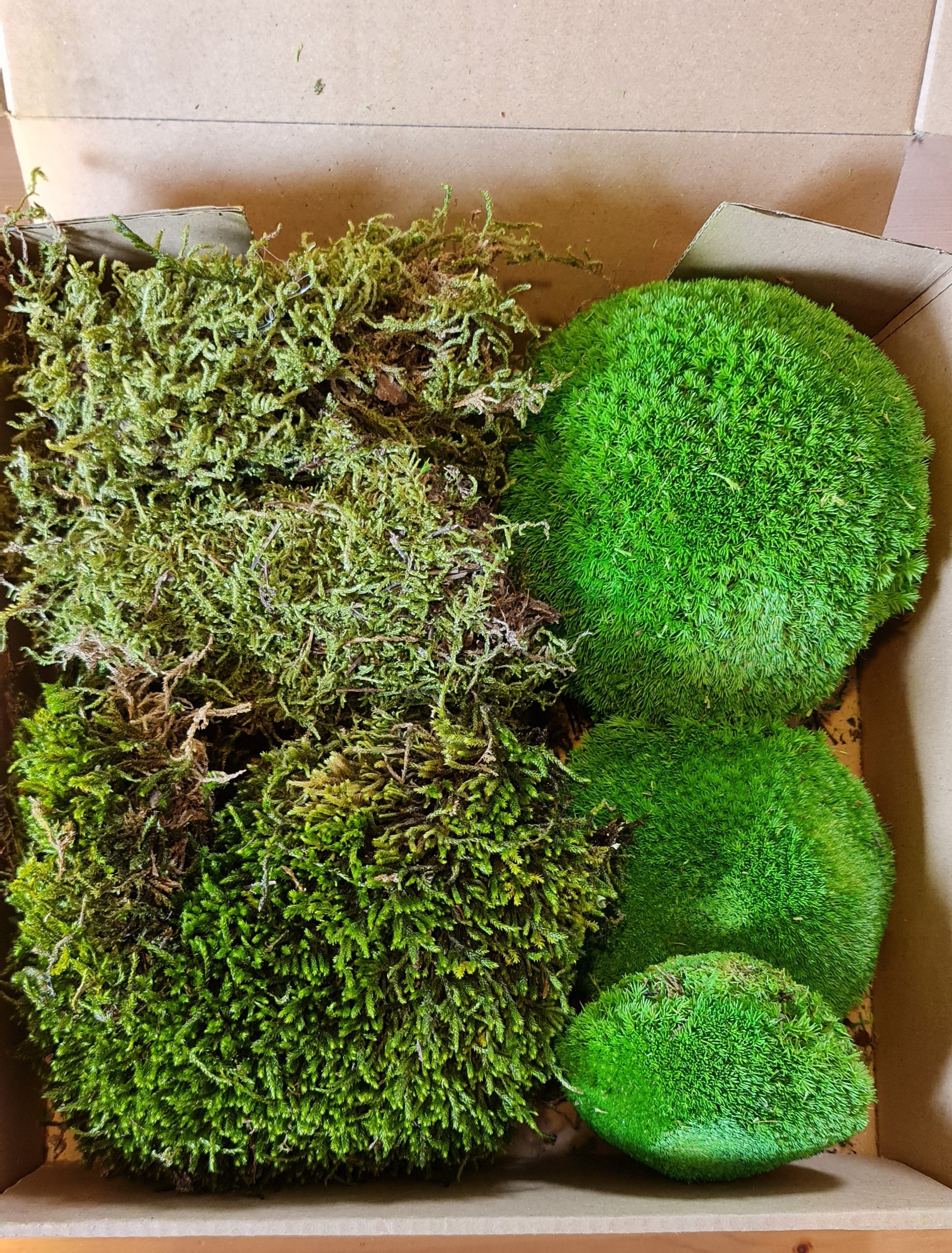 50g Preserved Natural Moss Grass DIY Gift Box Fillers
