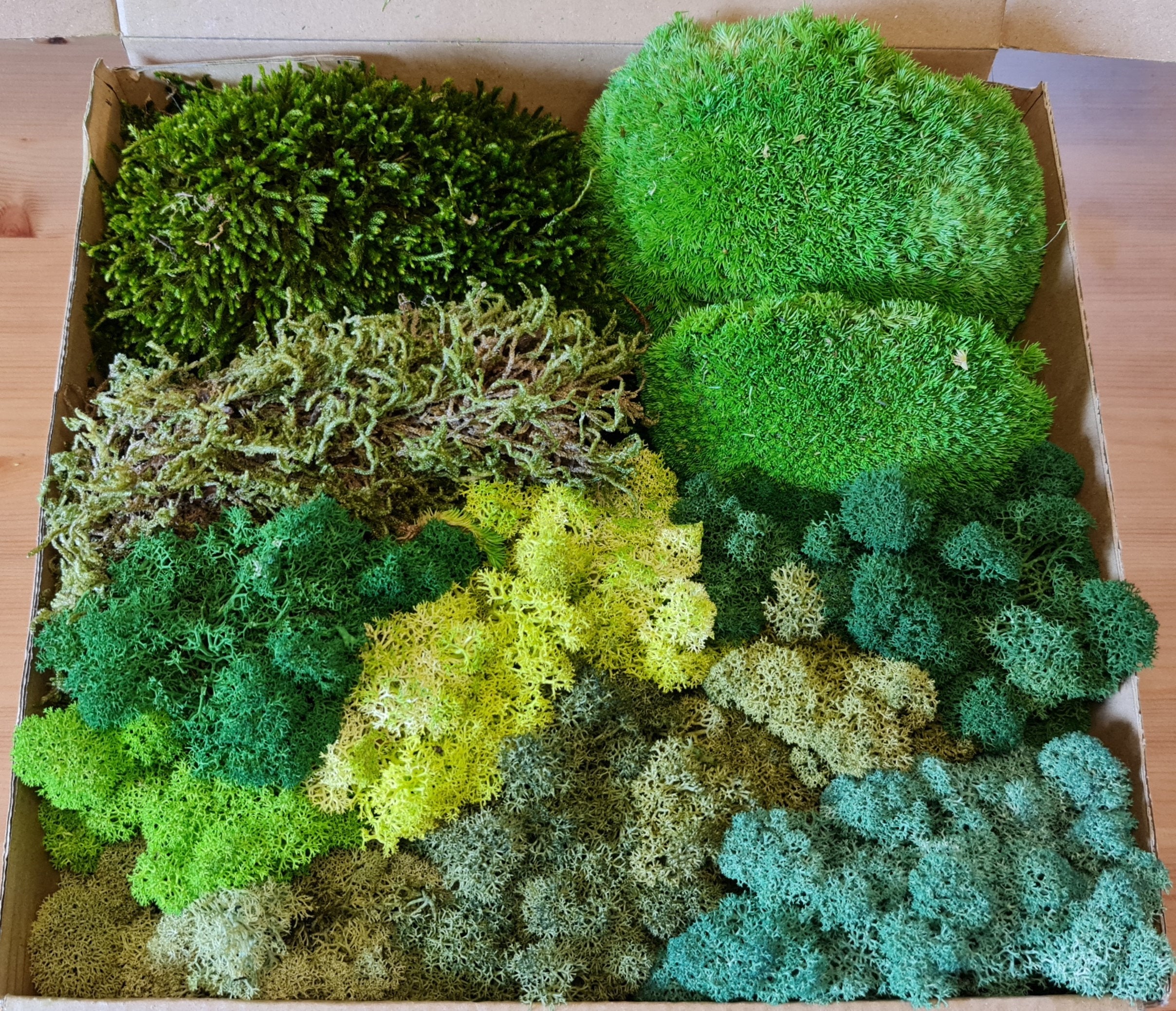 12 Pcs Artificial Moss Rock and 200 Gram Preserved Green Moss