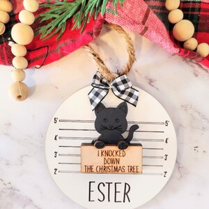 Cat ornaments. cat lover gift. cat gifts. gifts for cat lover. Christmas cat ornament. Christmas ornaments. crazy cat lady gift. cat lady