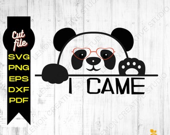 Panda I came gif, Panda Svg, Panda Png, Panda Cut File, presentes para ele, Panda Cricut, Panda Vector, JPG, EPS, Silhouette Cameo, Panda Layered