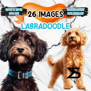 Imagen PNG de labradoodle en acuarela sobre fondo transparente, para uso comercial, descarga digital instantánea.