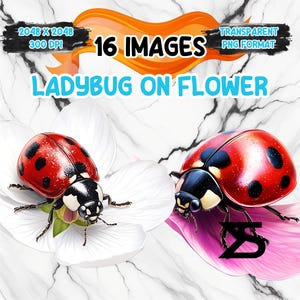 Immagine PNG di coccinella acquerello su fiore, bundle di clipart di coccinella, uso commerciale, download digitale, download immediato