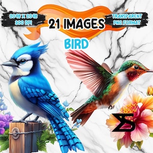 Watercolor Bird PNG Image, Bird Clipart bundle, commercial use, digital download, instant download