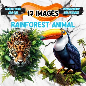 May include: A digital illustration of a toucan with an orange beak and a jaguar with a spotted coat. The toucan is perched on a branch with green leaves. The jaguar is peeking out from behind green leaves. The text "17 IMAGES" and "RAINFOREST ANIMAL" is displayed above the animals.