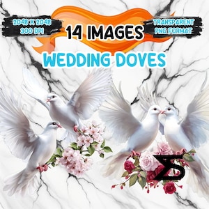 Clipart de palomas de boda en acuarela, paquete de clipart de boda, uso comercial, descarga digital, descarga instantánea