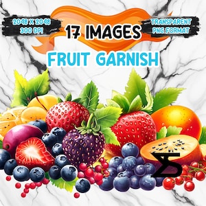 Fruit Garnish Clipart Bundle, Instant Download, kommerzielle Nutzung, Planer, Sticker