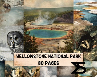 May include: A collage of Yellowstone National Park illustrations. The images include a bear, an owl, geysers, and other landscapes. Text on the image reads "Yellowstone National Park 80 Pages."