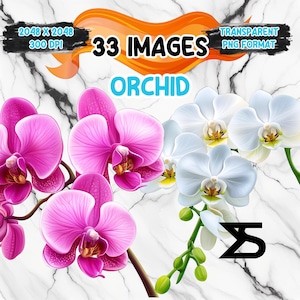 Imagen PNG de orquídea de acuarela sobre fondo transparente, calcomanía digital para scrapbooking, uso comercial, descarga digital instantánea