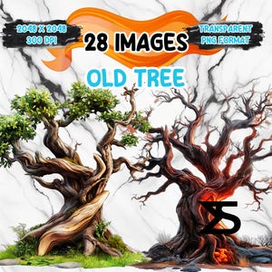 Puede incluir: Arte digital con dos ilustraciones detalladas de árboles viejos. Un árbol tiene hojas verdes, mientras que el otro está desnudo. La imagen incluye texto que dice "28 Images", "Old Tree" y otros detalles sobre el formato y la resolución de la imagen.