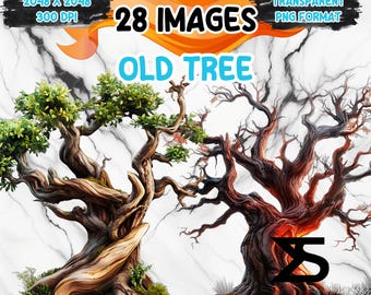 May include: Digital art featuring two detailed illustrations of old trees. One tree has green leaves, while the other is bare. The image includes text that reads "28 Images", "Old Tree", and other details about the image format and resolution.