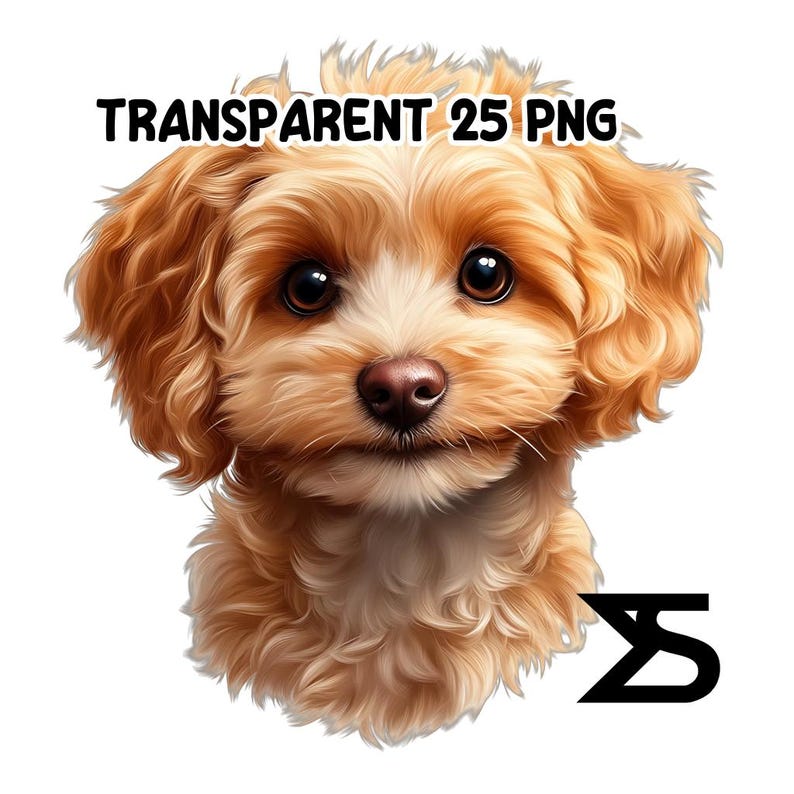 Watercolor Maltipoo PNG Image on Transparent Background, Digital ...