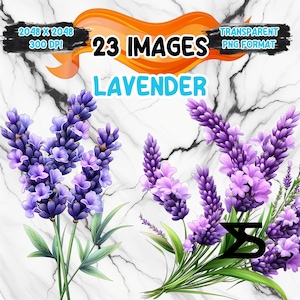 Op de afbeelding: 23 afbeeldingen van lavendelbloemen in een paars en roze kleurenschema. De bloemen zijn in een boeket met groene bladeren gerangschikt. De afbeeldingen zijn in PNG-formaat en zijn 2048 x 2048 pixels bij 300 DPI.