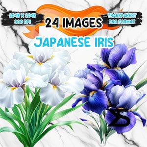 Watercolor Japanese Iris PNG Image on transparent background, digital Sticker/Scrappbooking , commercial use, instant digital download