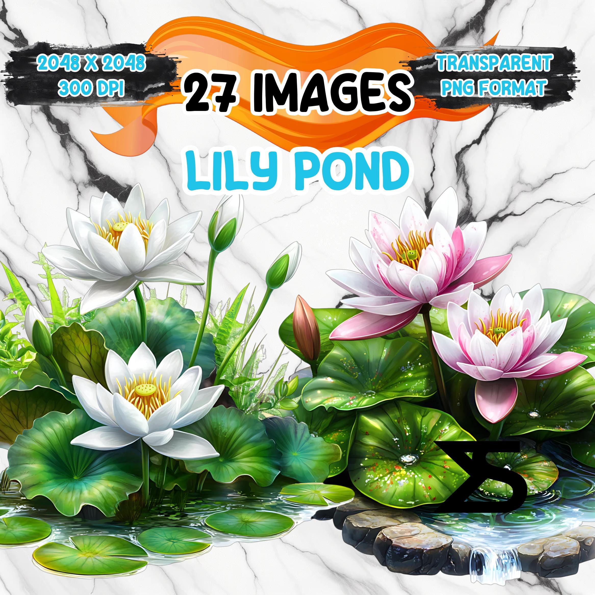 Watercolor Lily Pond PNG Image on transparent background, digital Sticker/Scrappbooking, commercial use, instant digital download