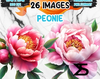 Watercolor Peonie PNG Image on transparent background, digital Sticker/Scrappbooking , commercial use, instant digital download