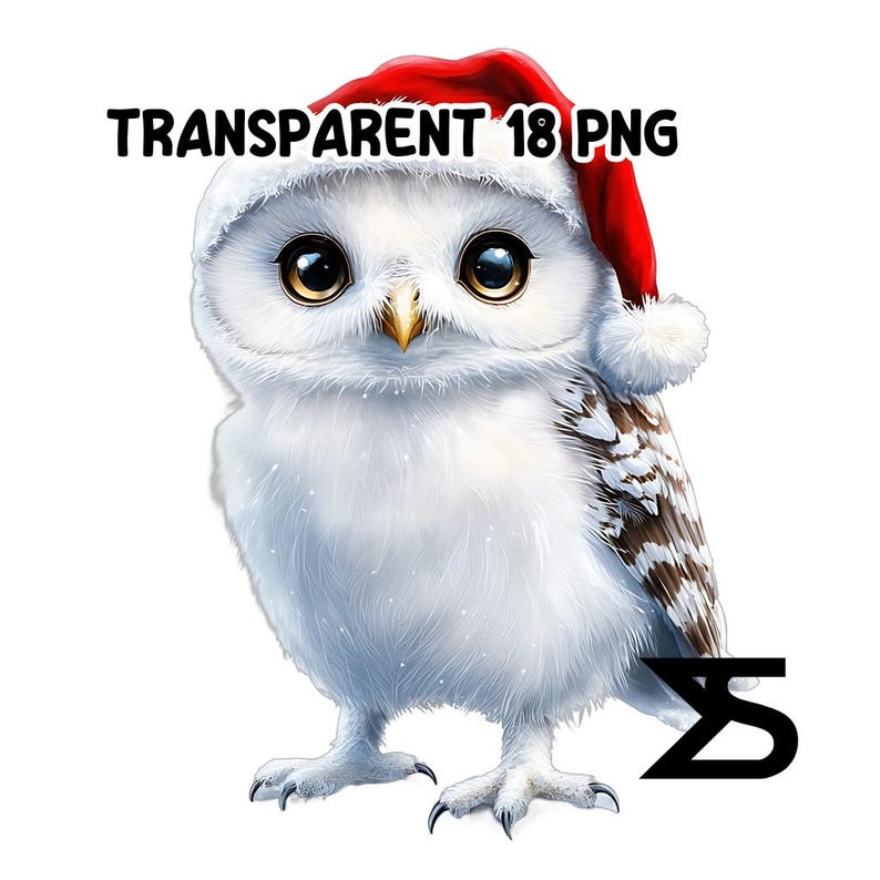 18 Watercolor Christmas Snow Owl Clipart , Snow Owl Clipart PNG