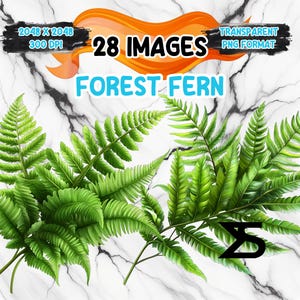 Image PNG de fougère forestière aquarelle sur fond transparent, autocollant numérique/Scrappbooking, usage commercial, téléchargement numérique instantané