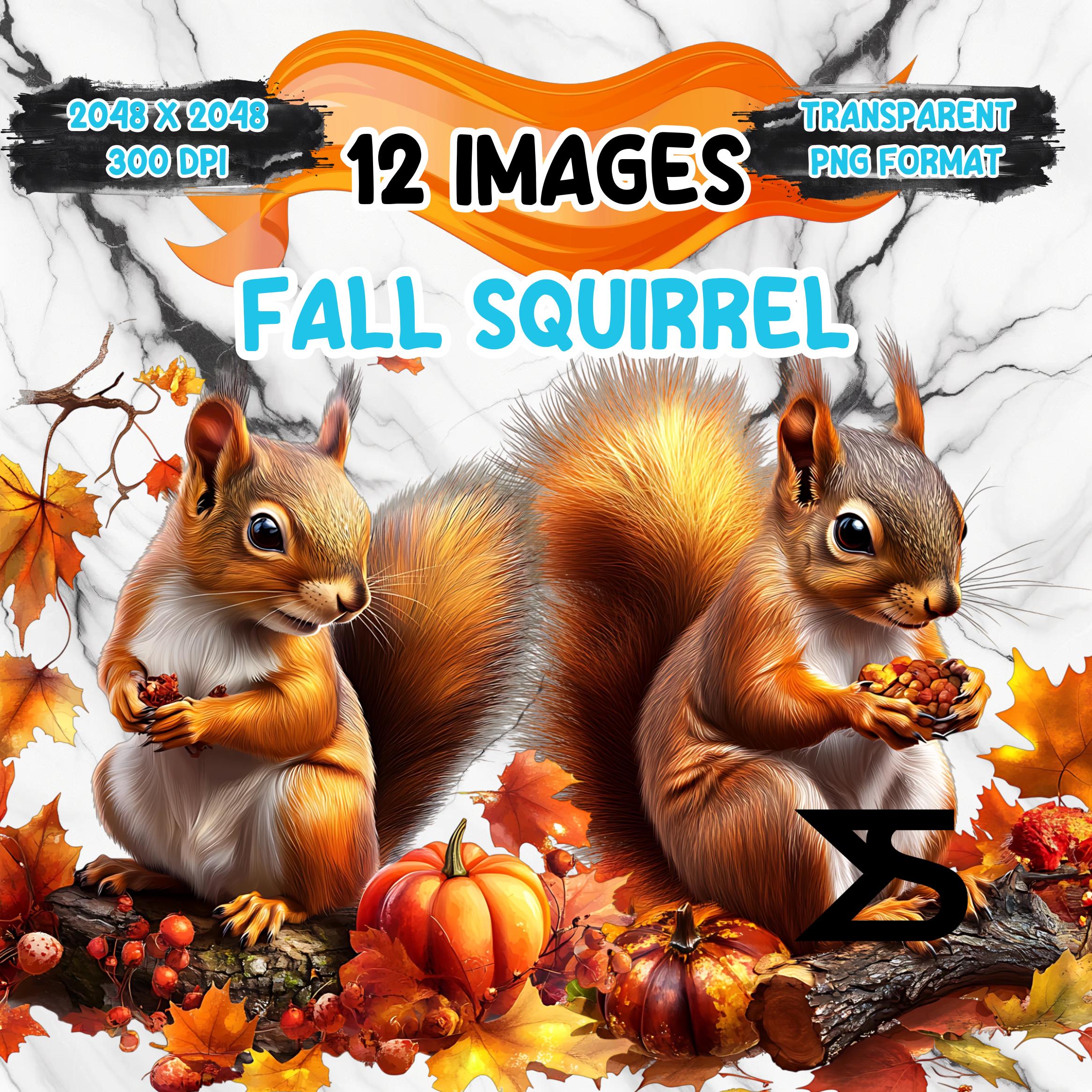 Eichhörnchen hintergrund - Etsy Österreich, image size:2333x2333