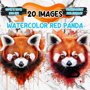 Image PNG aquarelle aquarelle panda roux sur fond transparent, autocollant numérique/Scrappbooking, usage commercial, téléchargement numérique instantané