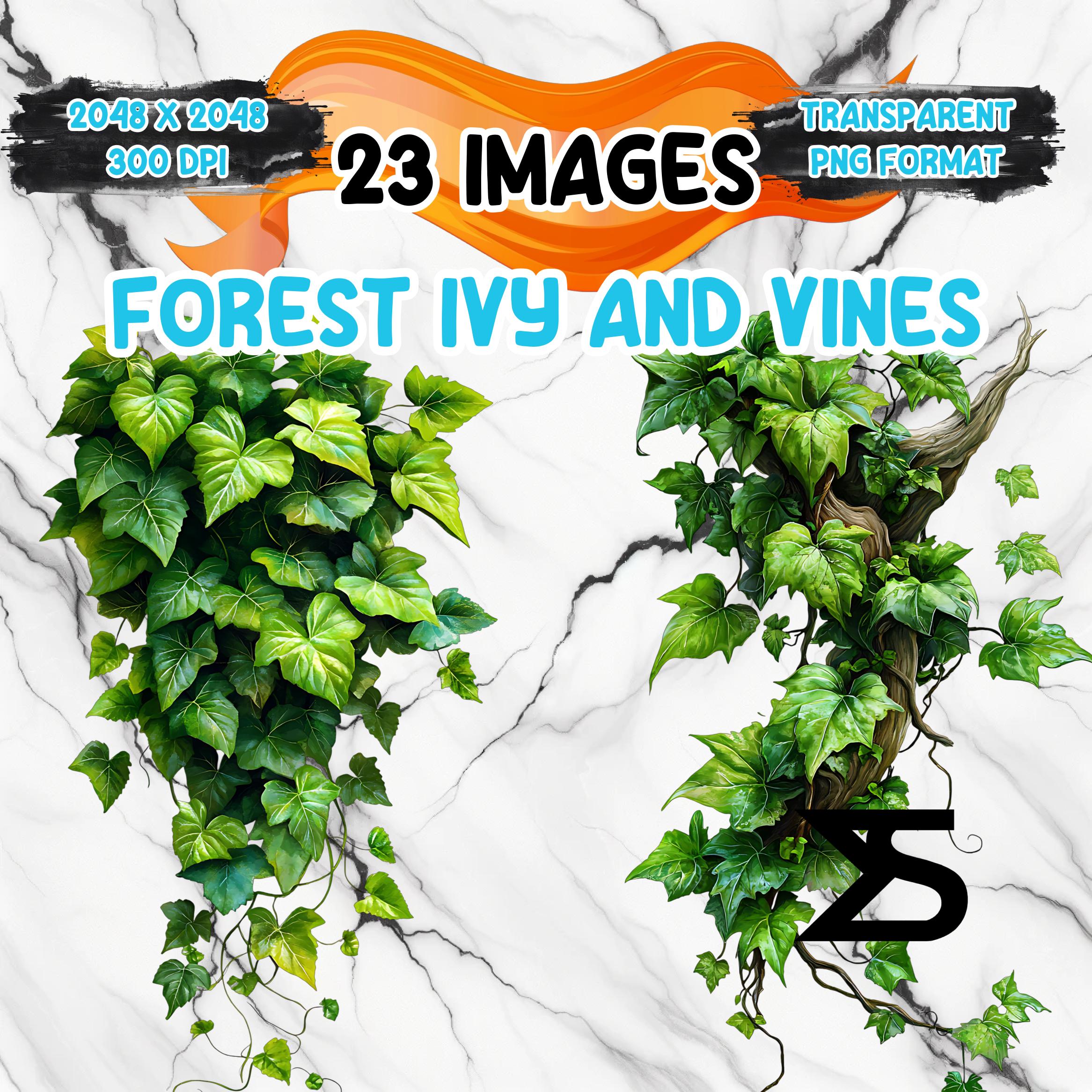 round up gegen efeu ROUNDUP 360 POWER 2.0 HERBIZID HERBIZID GLYPHOSAT 1 L – LVG main image 1