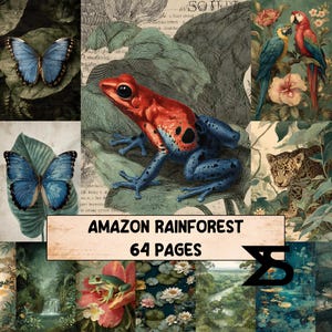 Amazon Rainforest vintage junk journal kit for travelers botanical ephemera tropical collage papers maps labels nature scrapbook