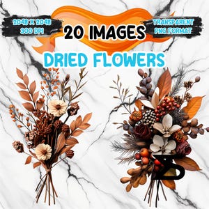 Imagen PNG de flores secas de acuarela sobre fondo transparente, para uso comercial, descarga digital instantánea.