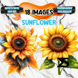 Watercolor Sunflower PNG Image on transparent background, digital Sticker/Scrappbooking , commercial use, instant digital download