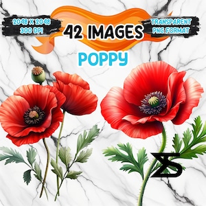 Mohn Clipart Bundle, Instant Download, kommerzielle Nutzung, Planer, Sticker