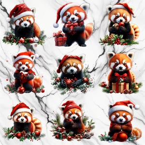 Watercolor Christmas Red Panda PNG Image on transparent background, digital Sticker/Scrappbooking, commercial use, instant digital download