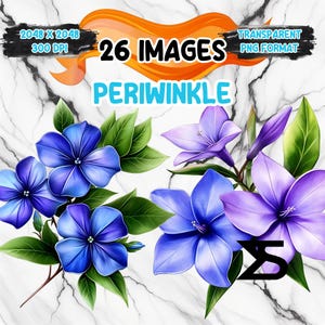 May include: A digital illustration of 26 images of periwinkle flowers in various shades of blue and purple. The flowers are depicted with green leaves and stems. The image includes the text "26 IMAGES" and "PERIWINKLE".