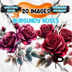 Image PNG de roses bordeaux aquarelle sur fond transparent, sticker numérique/Scrappbooking, usage commercial, téléchargement numérique instantané